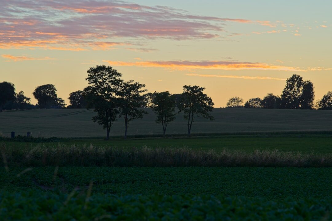 Danish countryside landscape at dusk